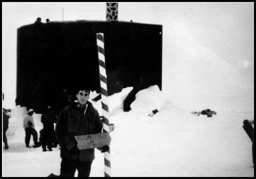 Arctic 1994