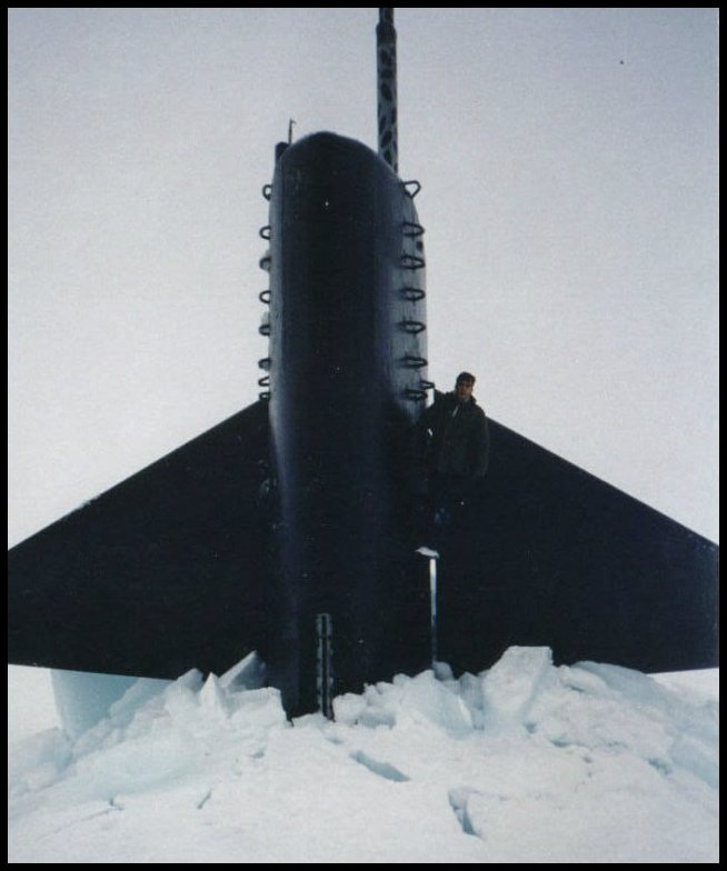 Arctic 1994
